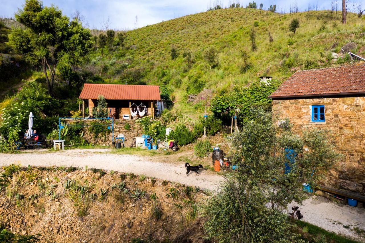 Giant Canvas Rental Tent Agro-Turismo Quinta Da Fonte Figueiro Dos Vinhos Extérieur photo